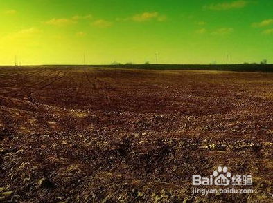 如何让农村老家的土地翻倍增值?