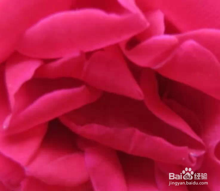 五大公认减脂肪运动