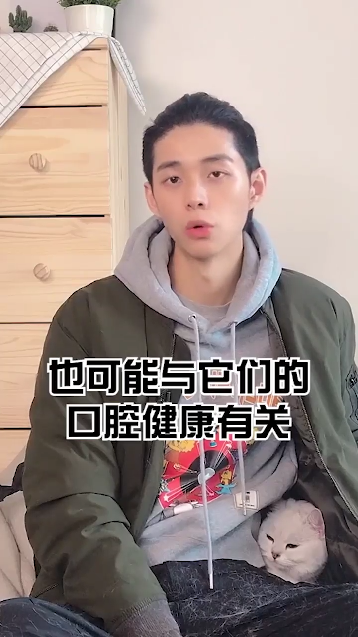 猫咪为什么爱吃塑料袋？