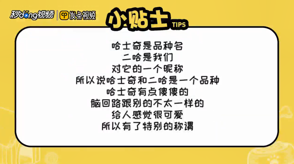 哈士奇和二哈是一个品种吗