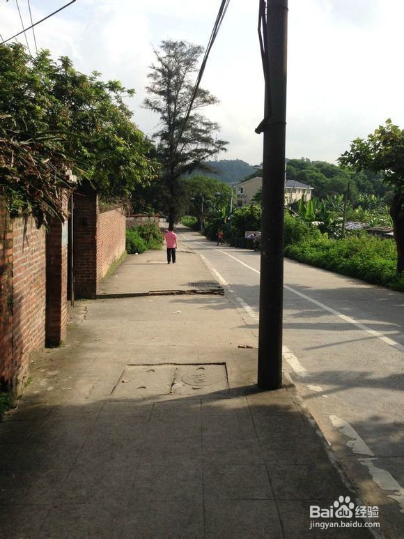 南华工商学院黄埔校区校园图片全攻略