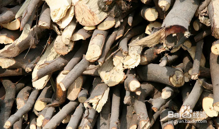 野外如何生火？