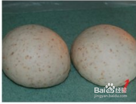 汤种小麦胚芽吐司!(附送5款健康吐司)