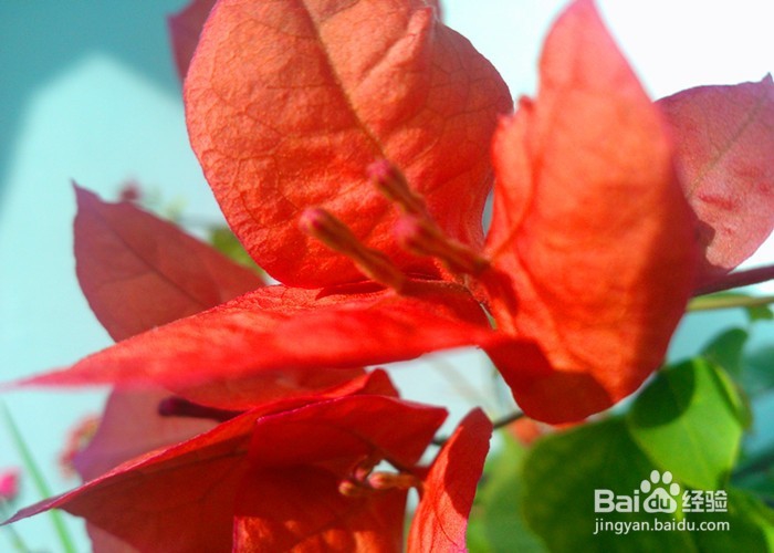 怎样拍摄生活画面