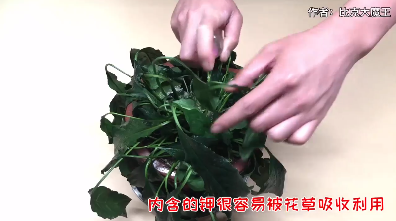 蚊香灰怎么巧妙的利用