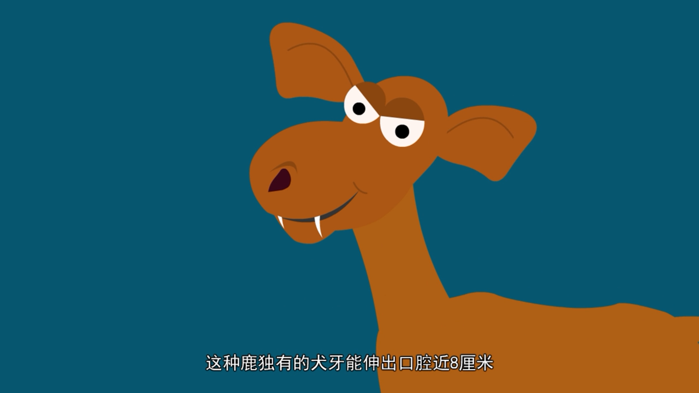 吸血鬼鹿的獠牙是用来吸血的吗