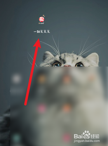 一起买买买怎么查找它的版本