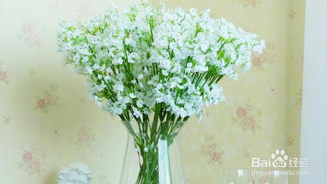 收到一大束满天星怎么保存