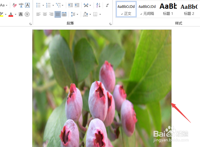 Word怎么将图片设置为A4大小作为页面背景呢