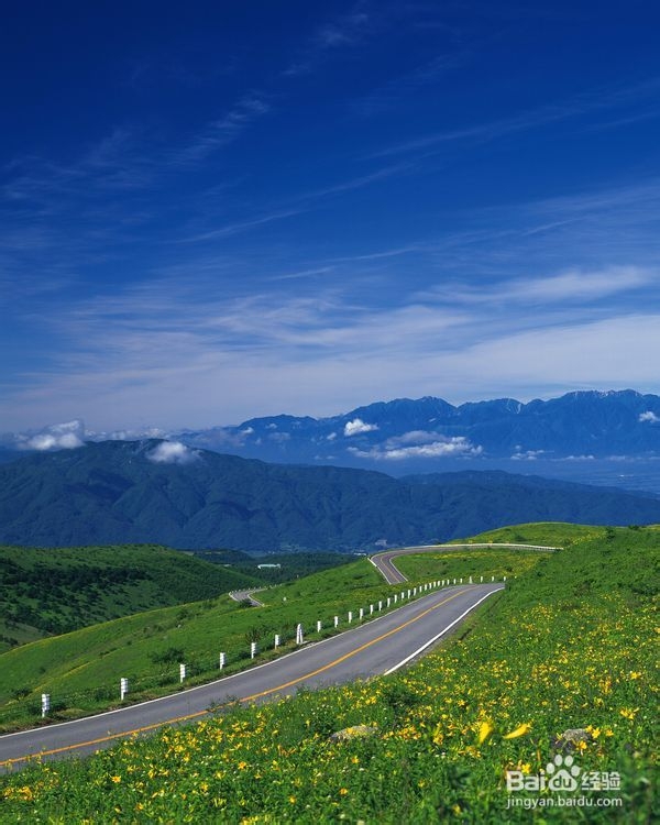 股票行业分析——公路运输行业分析中篇