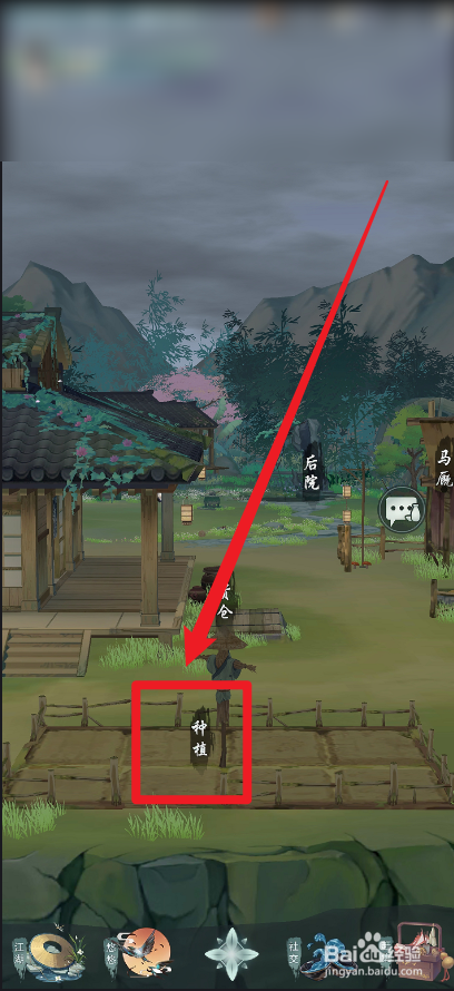 江湖悠悠黄瓜怎么种植