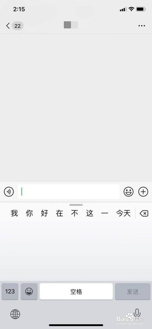 iPhone13手机怎样启用手写输入功能?
