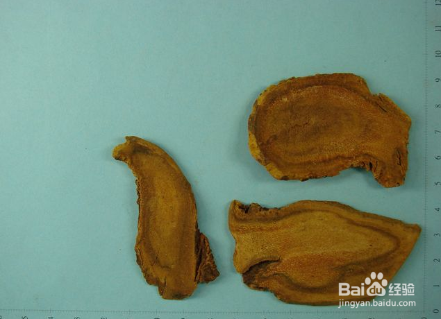 病毒性肝炎【华佗妙法】：[7]犀角地黄加减汤