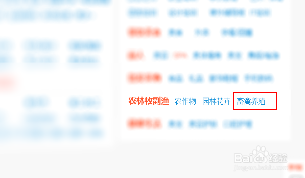 养兔子怎么找销路