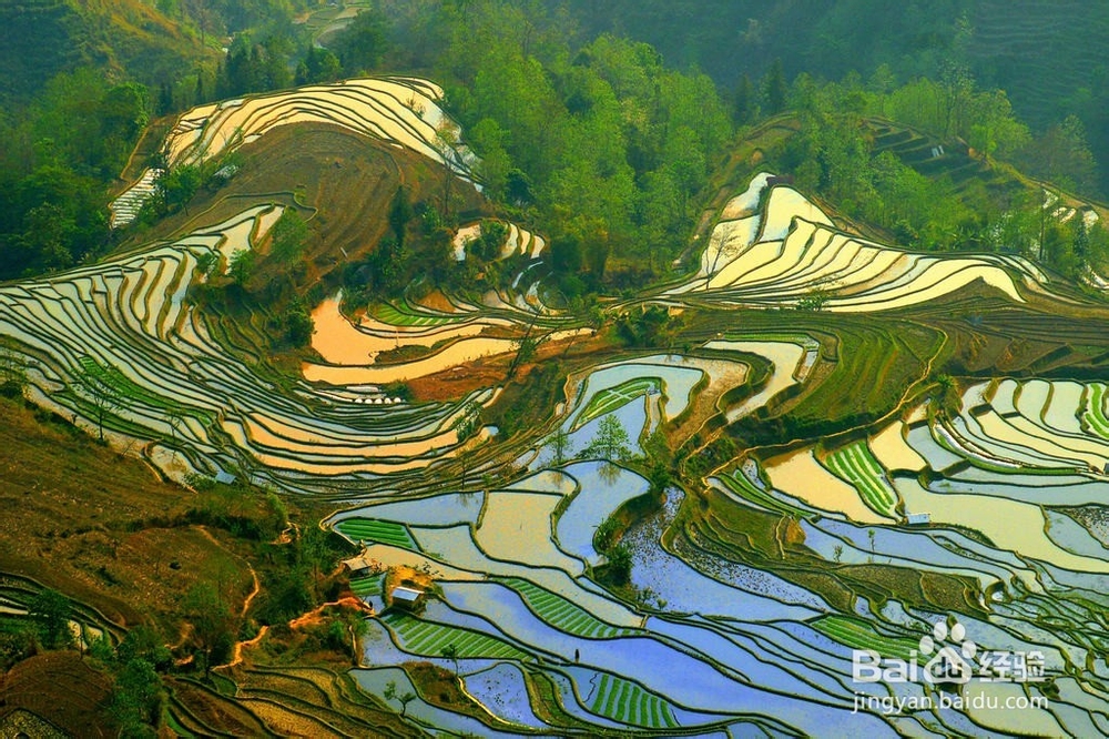 汉中到张家界自驾游