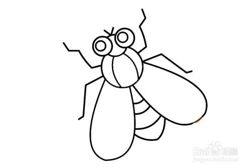 彩色的苍蝇的画法