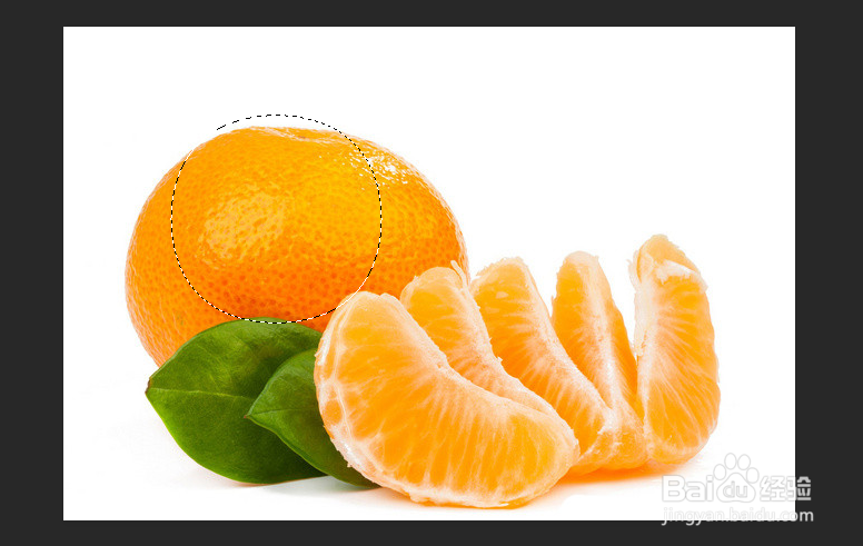 PS中选区的调整