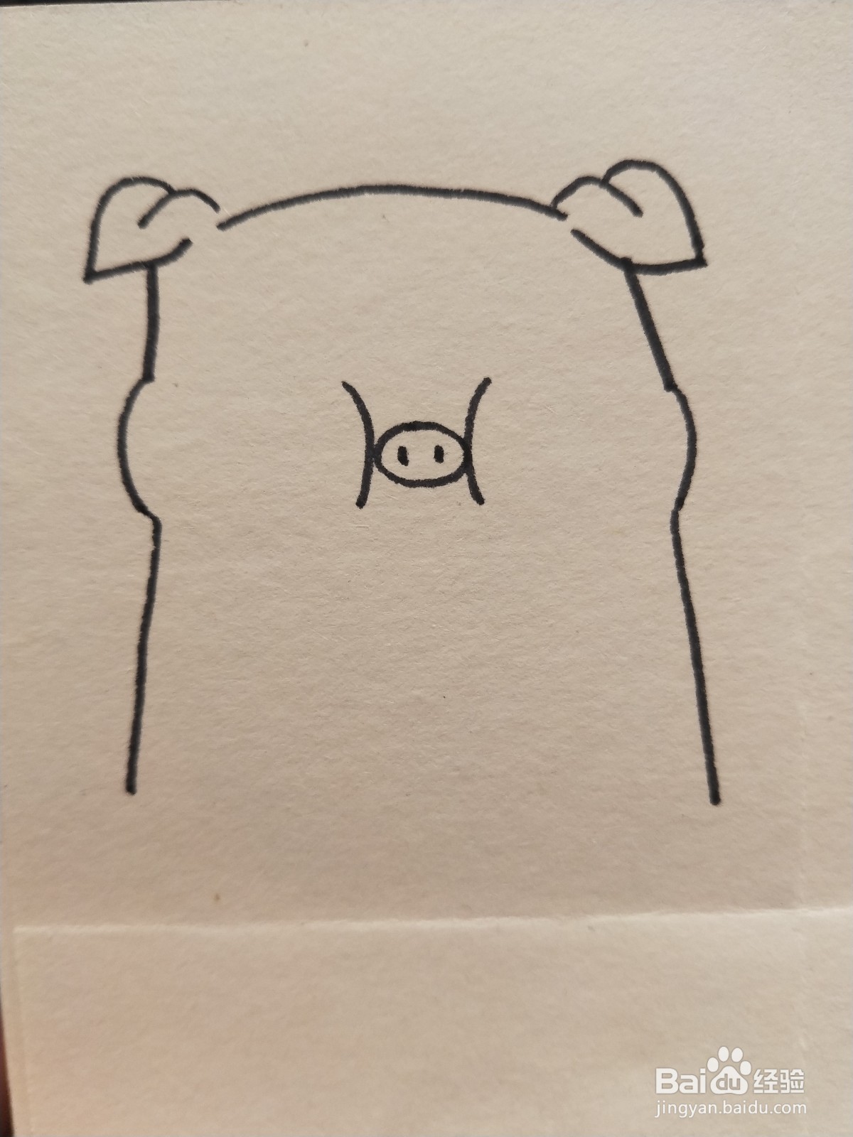 怎样画简笔画——小猪