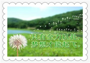 急速减肥我帮你