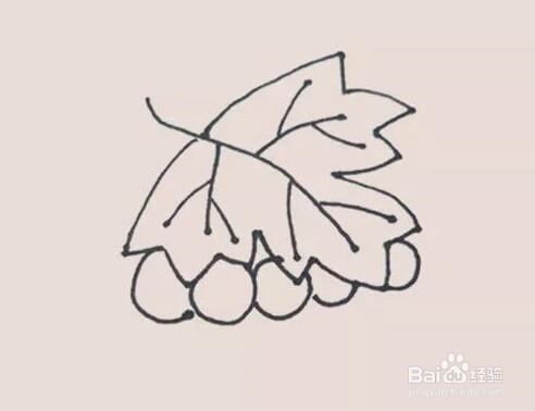 伴儿成长简笔画系列-怎样画葡萄简笔画