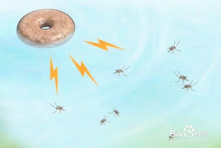 如何驱赶并杀死蚊虫以避免蚊子繁殖