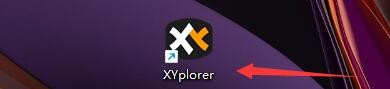 XYplorer如何设置启用显示隐藏驱动器