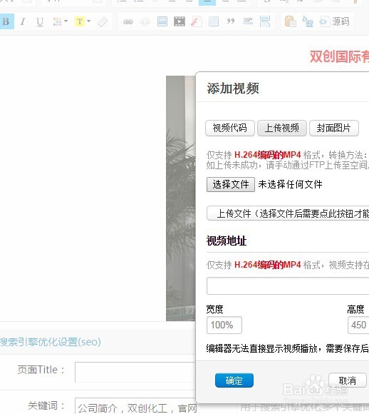 网站中视频不显示或者明明是视频却只有声音？