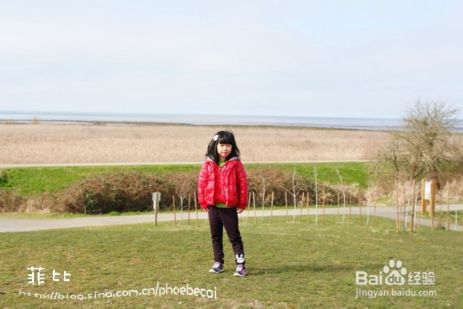 温哥华百万木头公园