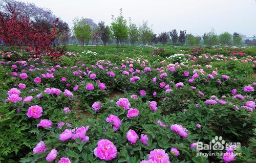 沧州附近好玩的旅游景点有哪些