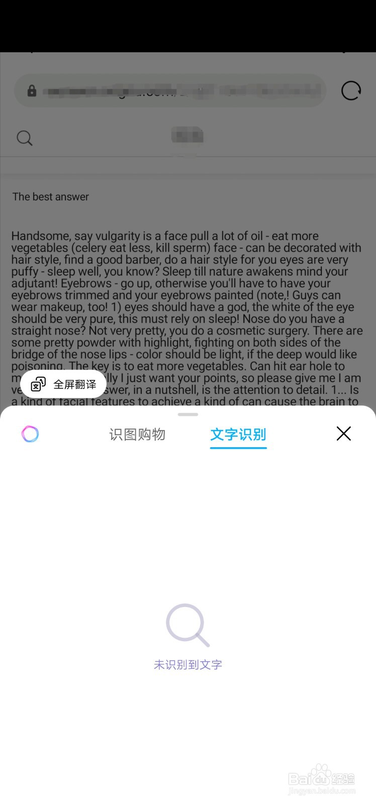手机全屏翻译怎么使用