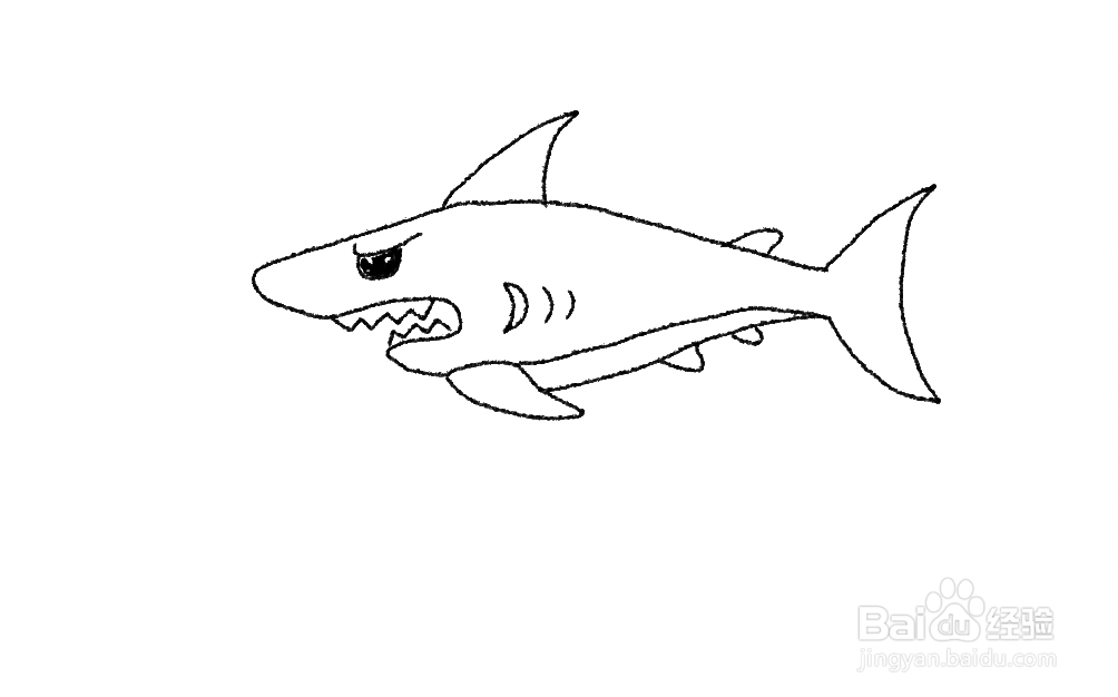 火焰鲨鱼简笔画图片