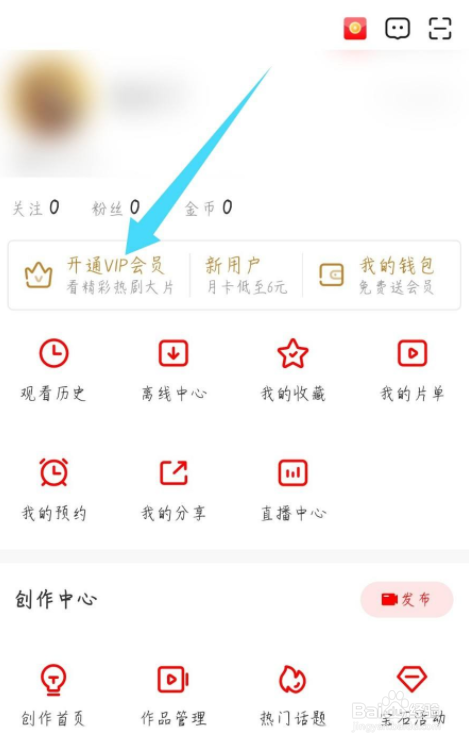 爱奇艺随刻版怎么开通VIP