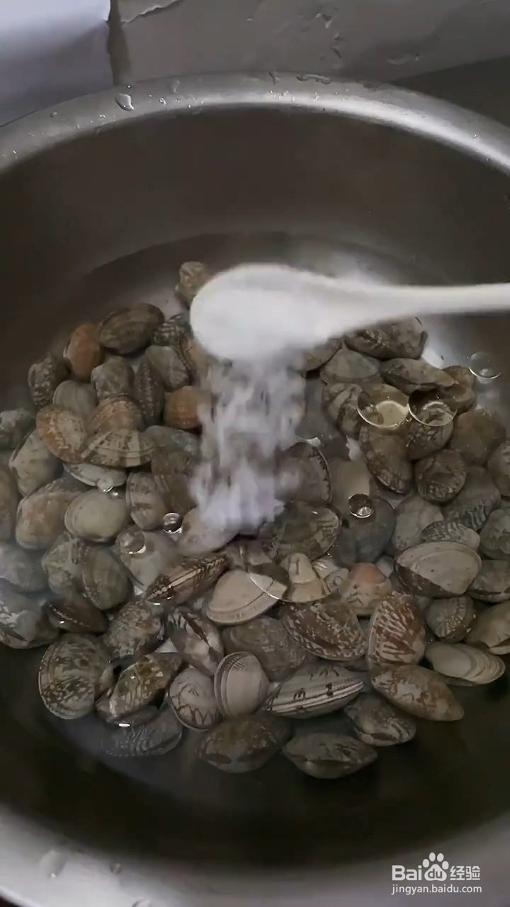 如何正确清洗花蛤