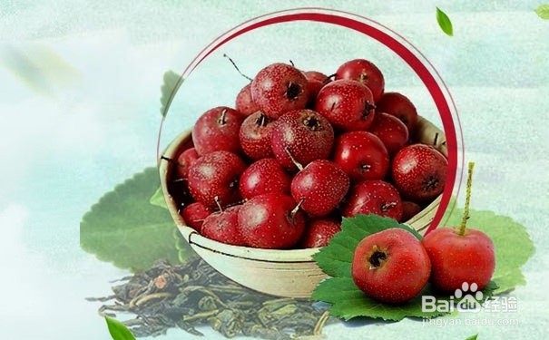 苦味、辛辣、酸味、涩味食物有什么益处
