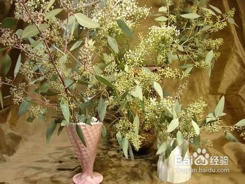 【乐趣】怎样制作玫瑰干花