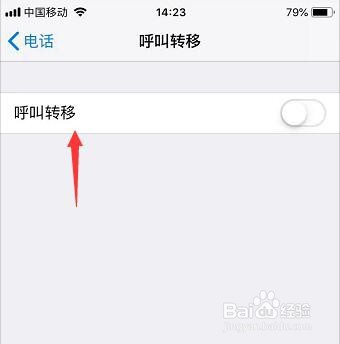 苹果手机呼叫转移在哪里设置