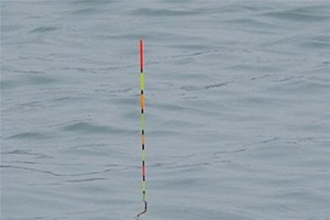 钓灵和钓钝的区别