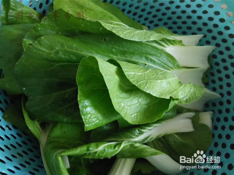 家常菜清炒小青菜