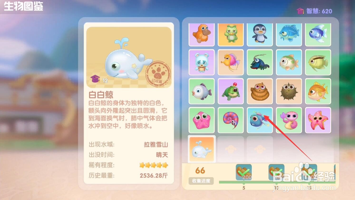 摩尔庄园手游白白鲸在哪钓