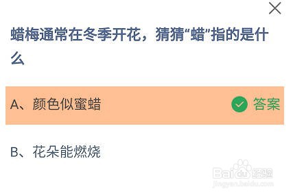 蜡梅通常在冬季开花，蜡指的是什么？蚂蚁庄园