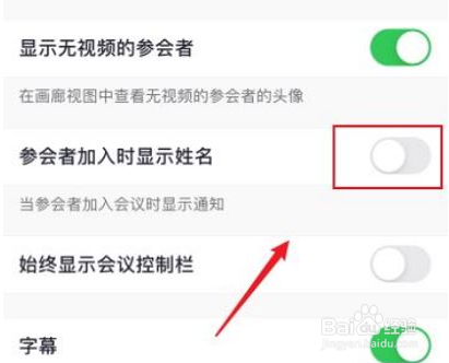 Zoom如何关闭名字显示