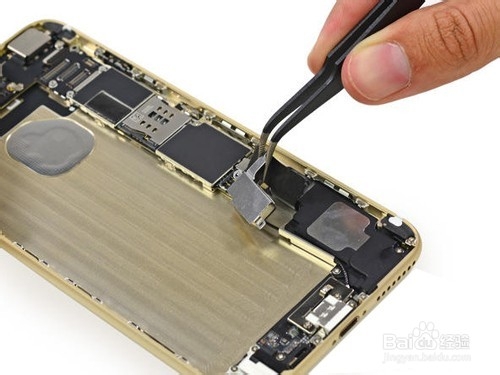 江湖百晓生：iPhone 6和iPhone 6 Plus有何不同