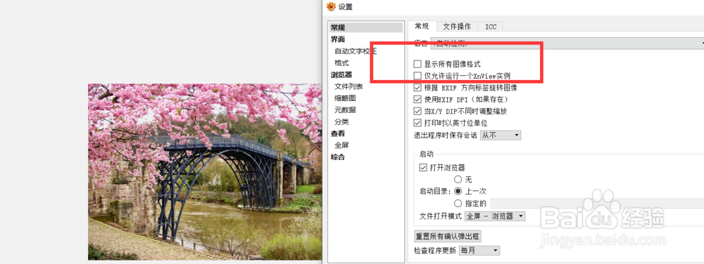 xnview如何设置软件显示所有图像格式