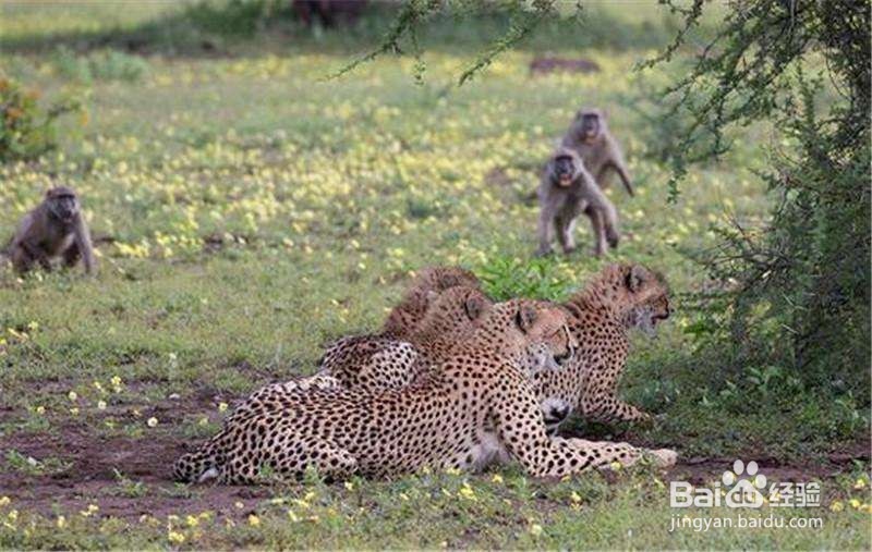 男人应该做哪些很酷的事情?