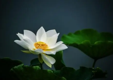 浑浊不清的反义词