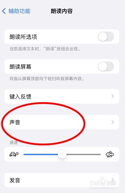 苹果13如何配置声音属性