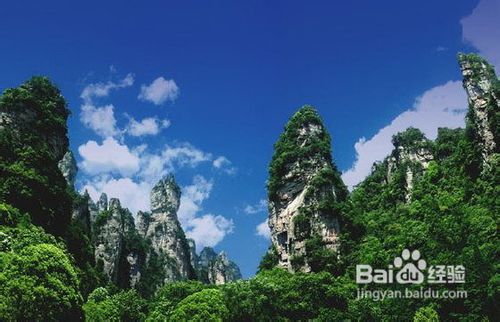 张家界自助游导游小彭