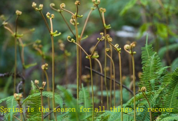 春天是万物复苏的季节 英文怎么说