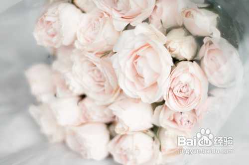 异地恋如何过情人节