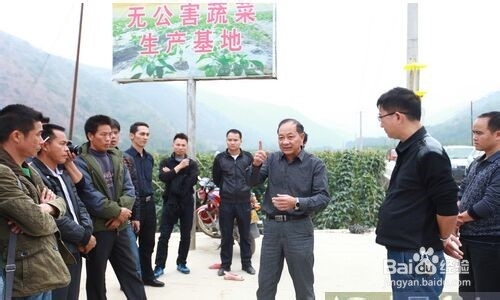 村干部应该怎样治理、发展农村